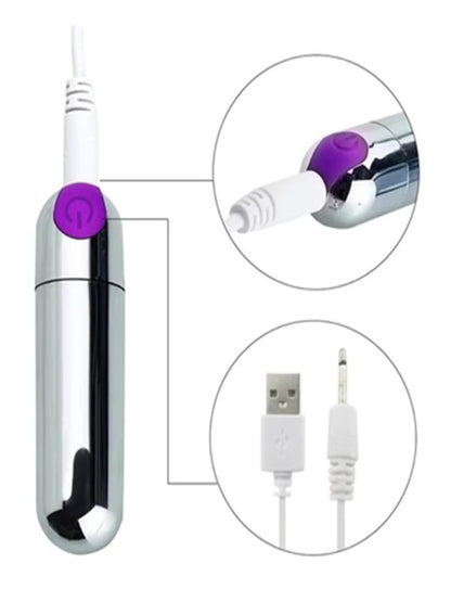 Luxe Outlet 10 Function Vibrating Bullet Chrome/Purple - Passionzone Adult Store