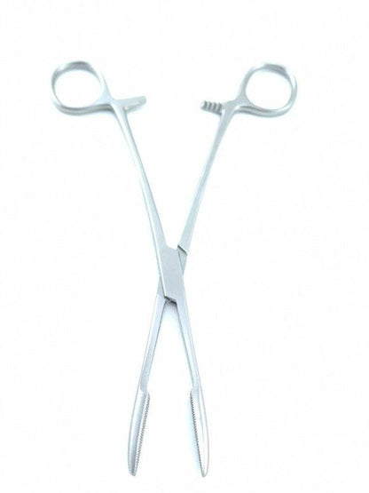 Nipple and Tongue Forceps - Passionzone Adult Store